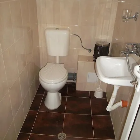 Guest house Vesela 3*